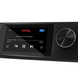 DWC-03 premium controller for AP12PRO DSP- Wired remote controller to select input source select presets; adjust total volume and slave volume, Mute, and switch between the last song and the next song from Bluetooth